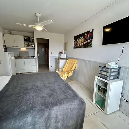 4 Couchages St Cyprien Sc270-062 * Saint-Cyprien (Pyrenees-Orientales)
